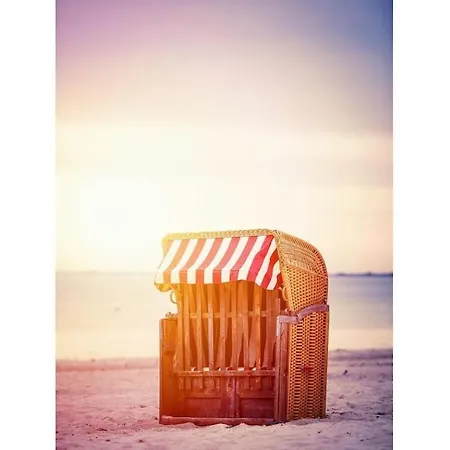Strandmuschel *